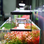 CHIHIROS LED WRGB II Slim-45 For Planted Aquarium – Bluetooth Edition